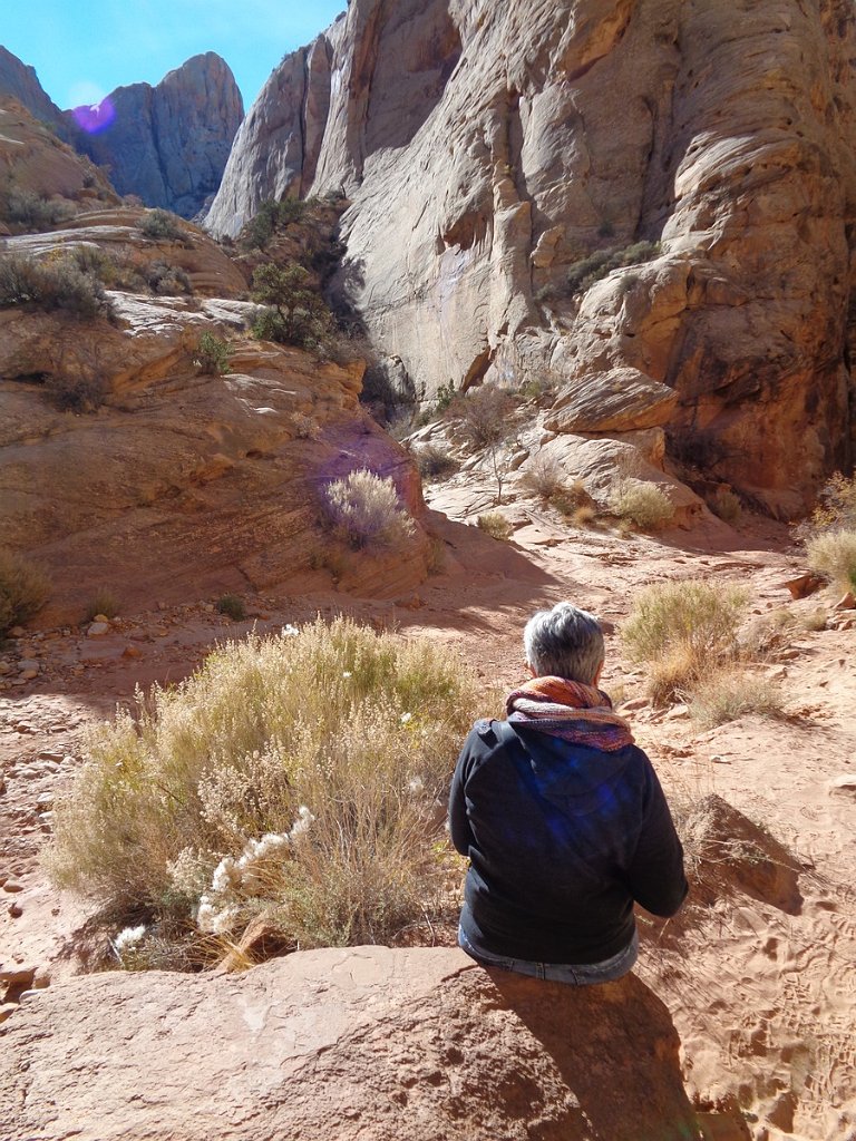 2018_1114_110349.JPG - Capitol Reef Capitol Gorge hike