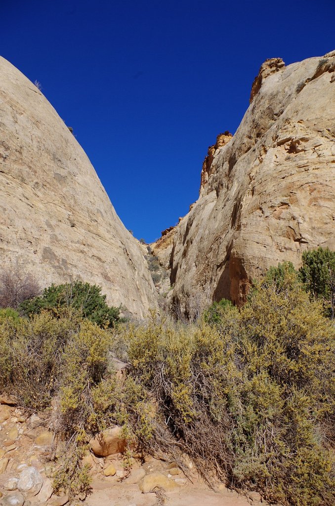 2018_1114_110604.JPG - Capitol Reef Capitol Gorge hike