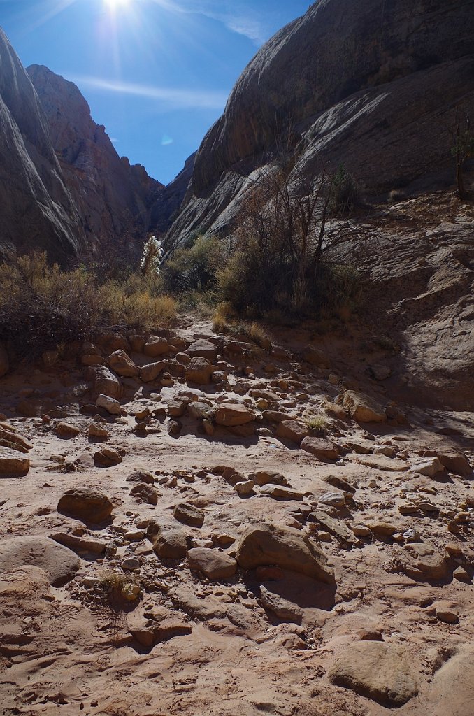 2018_1114_110610.JPG - Capitol Reef Capitol Gorge hike