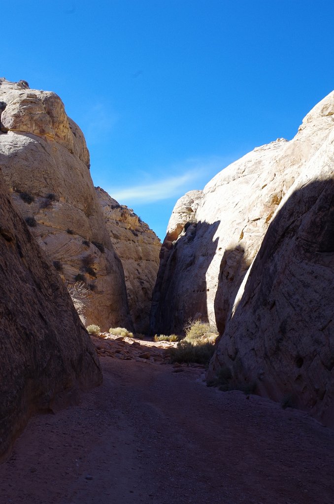 2018_1114_110806.JPG - Capitol Reef Capitol Gorge hike