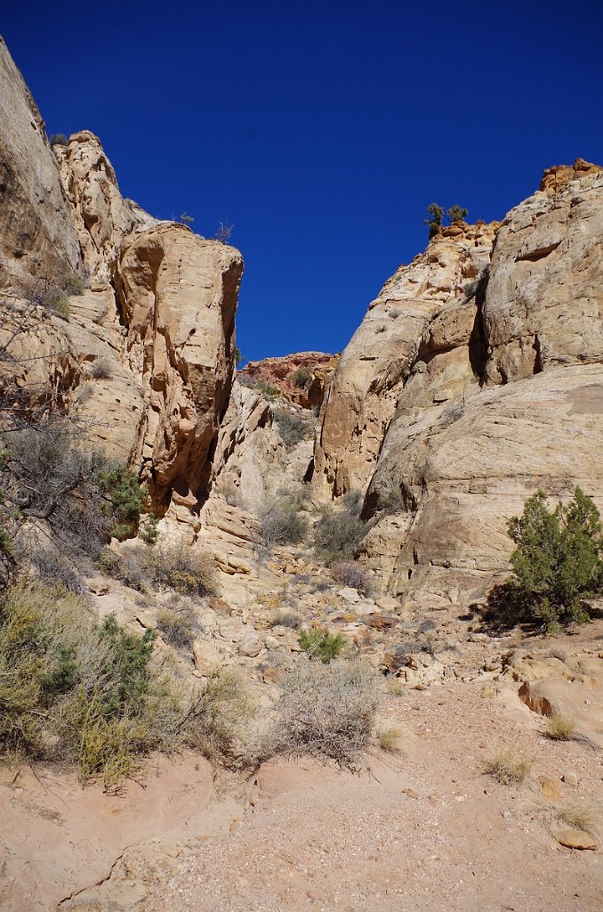 2018_1114_111024.JPG - Capitol Reef Capitol Gorge hike