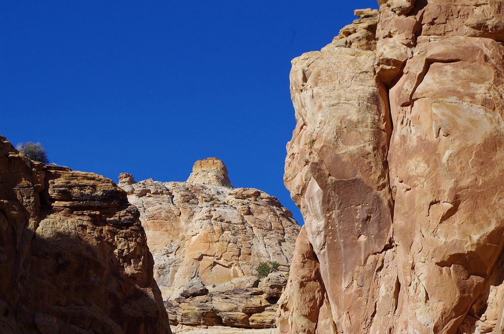 2018_1114_111601.JPG - Capitol Reef Capitol Gorge hike