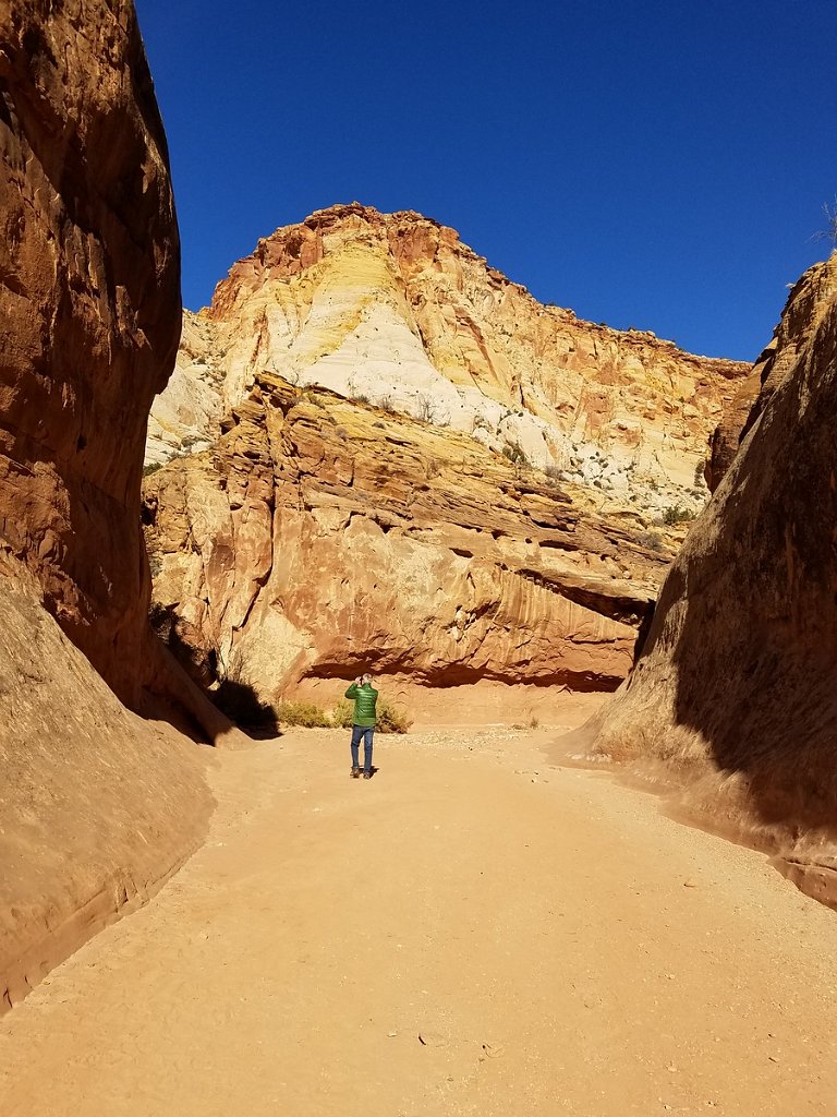 2018_1114_111714.jpg - Capitol Reef Capitol Gorge hike