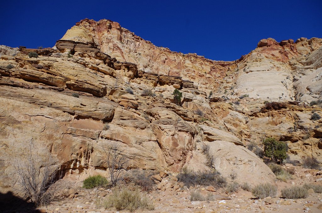 2018_1114_111910.JPG - Capitol Reef Capitol Gorge hike