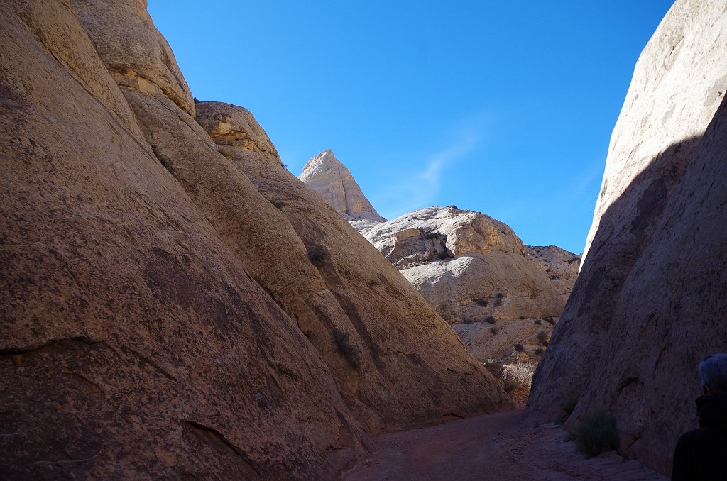 2018_1114_112521.JPG - Capitol Reef Capitol Gorge hike