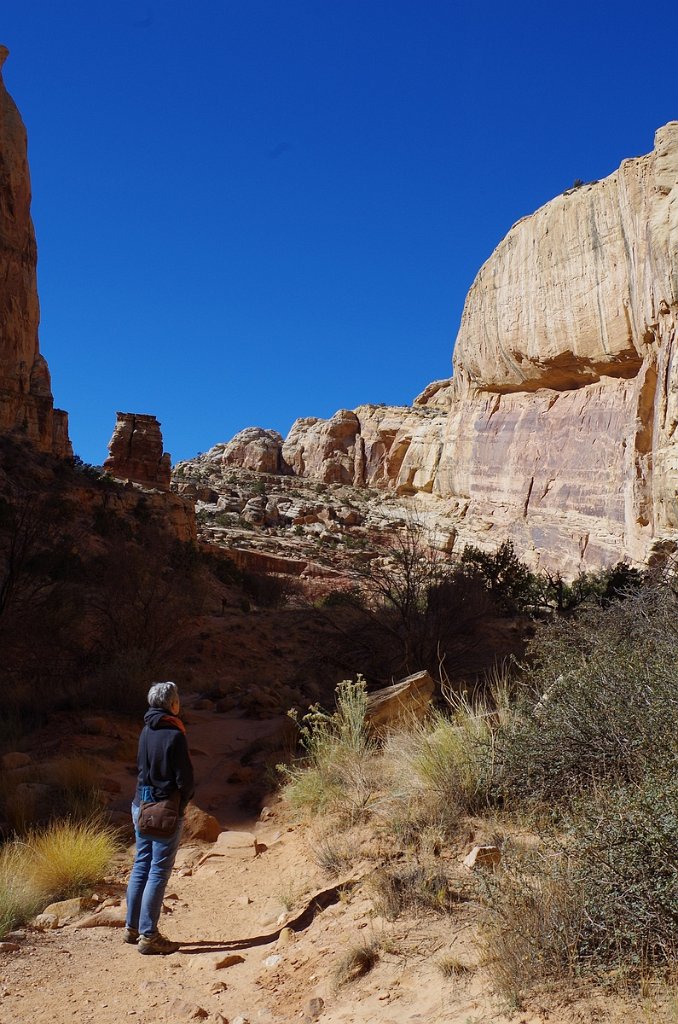 2018_1114_114400.JPG - Capitol Reef Capitol Gorge hike