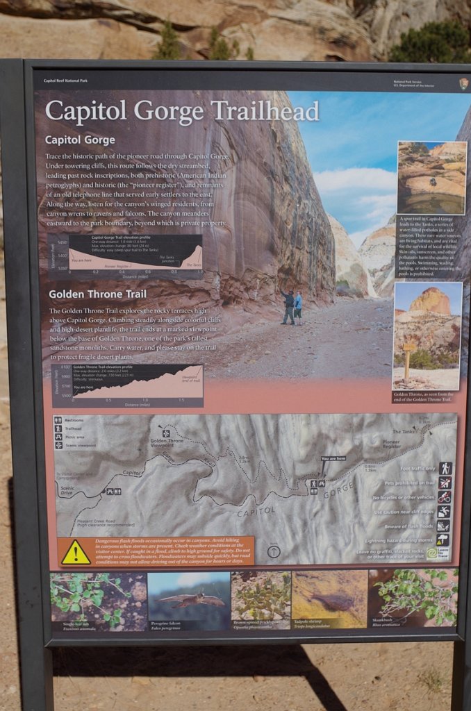 2018_1114_114644.JPG - Capitol Reef Capitol Gorge hike