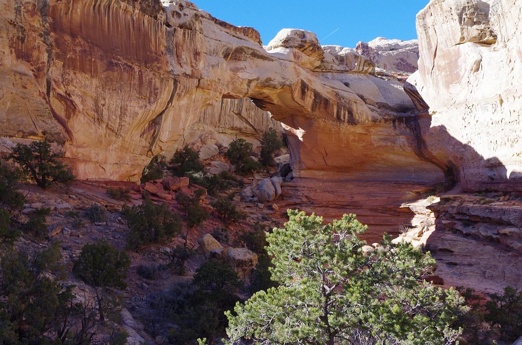 2018_1114_131455.JPG - Capitol Reef Hickman Bridge