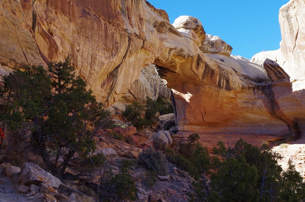 2018_1114_131549.JPG - Capitol Reef Hickman Bridge