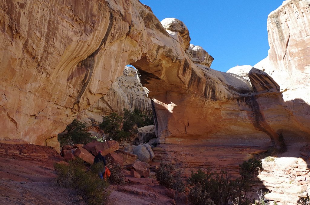 2018_1114_131631.JPG - Capitol Reef Hickman Bridge