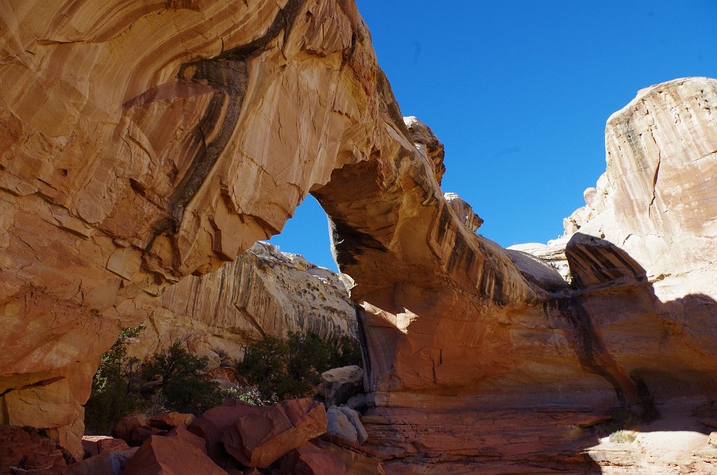 2018_1114_131713.JPG - Capitol Reef Hickman Bridge