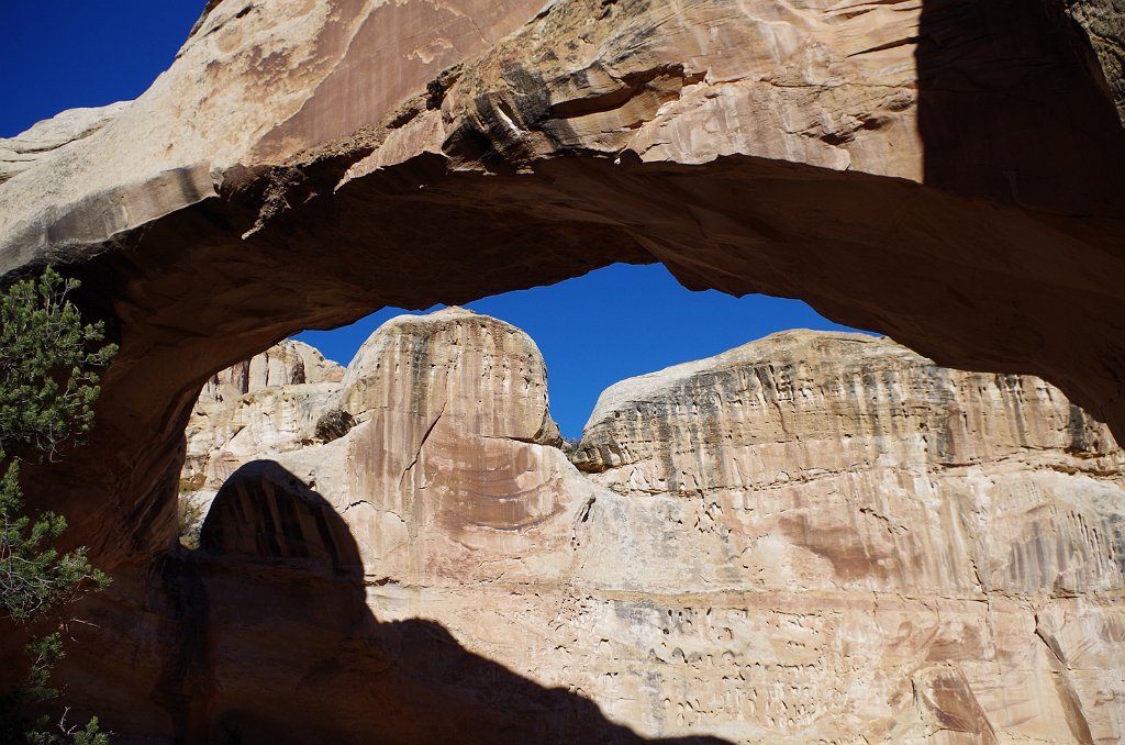 2018_1114_131822.JPG - Capitol Reef Hickman Bridge