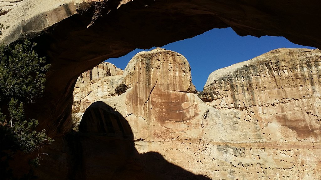 2018_1114_132152.jpg - Capitol Reef Hickman Bridge