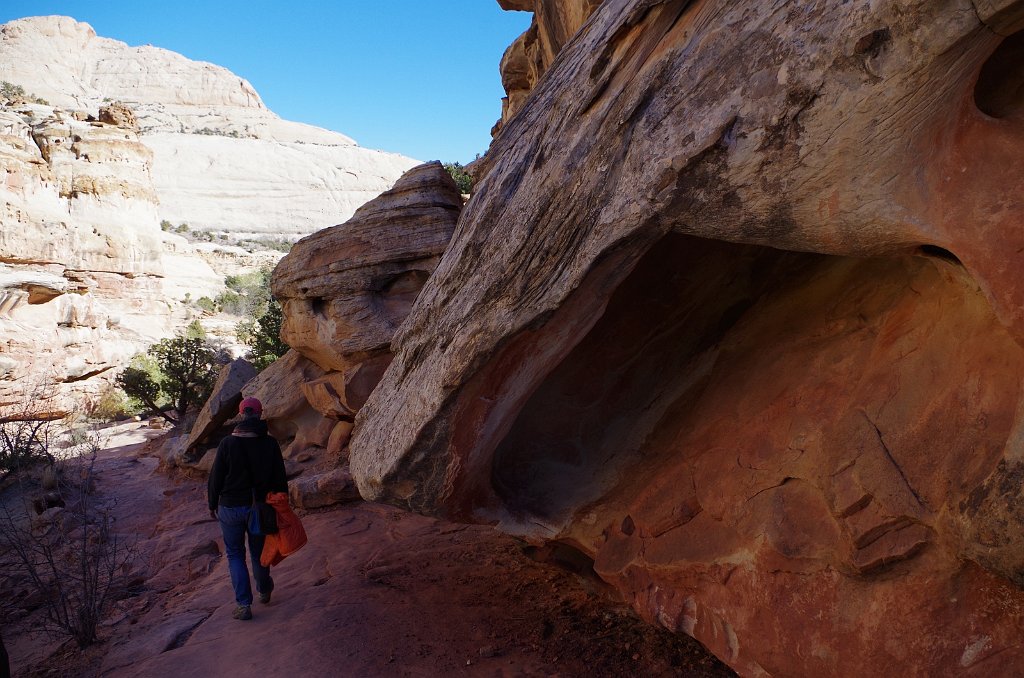 2018_1114_133158.JPG - Capitol Reef Hickman Bridge