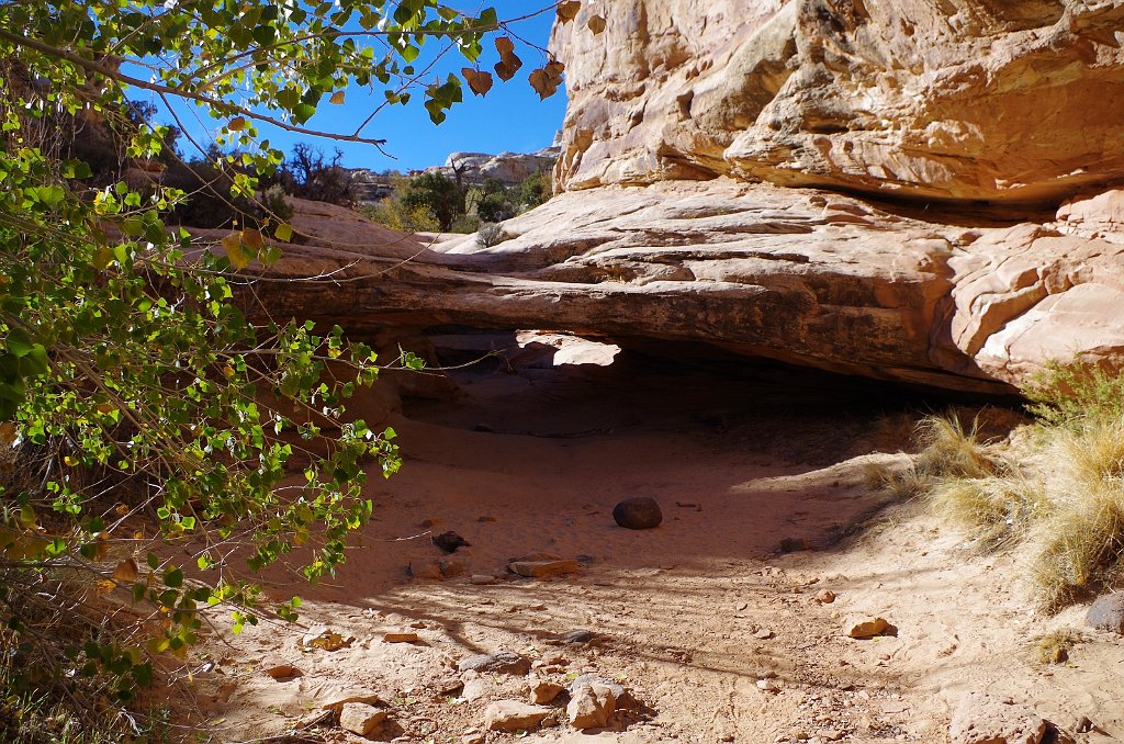 2018_1114_133413.JPG - Capitol Reef Hickman Bridge