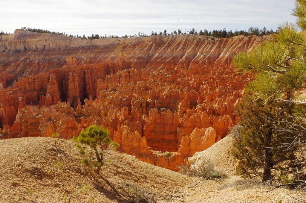 2018_1115_122053.JPG - Utah’s Scenic Byway 12 - Bryce Canyon