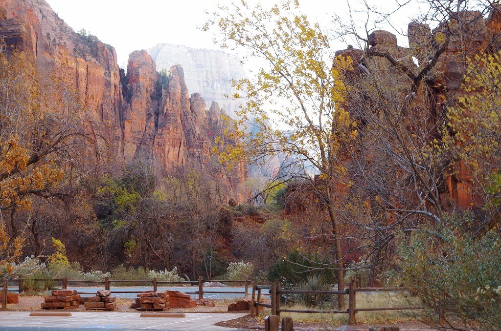 2018_1116_095109.JPG - Zion Riverside Walk