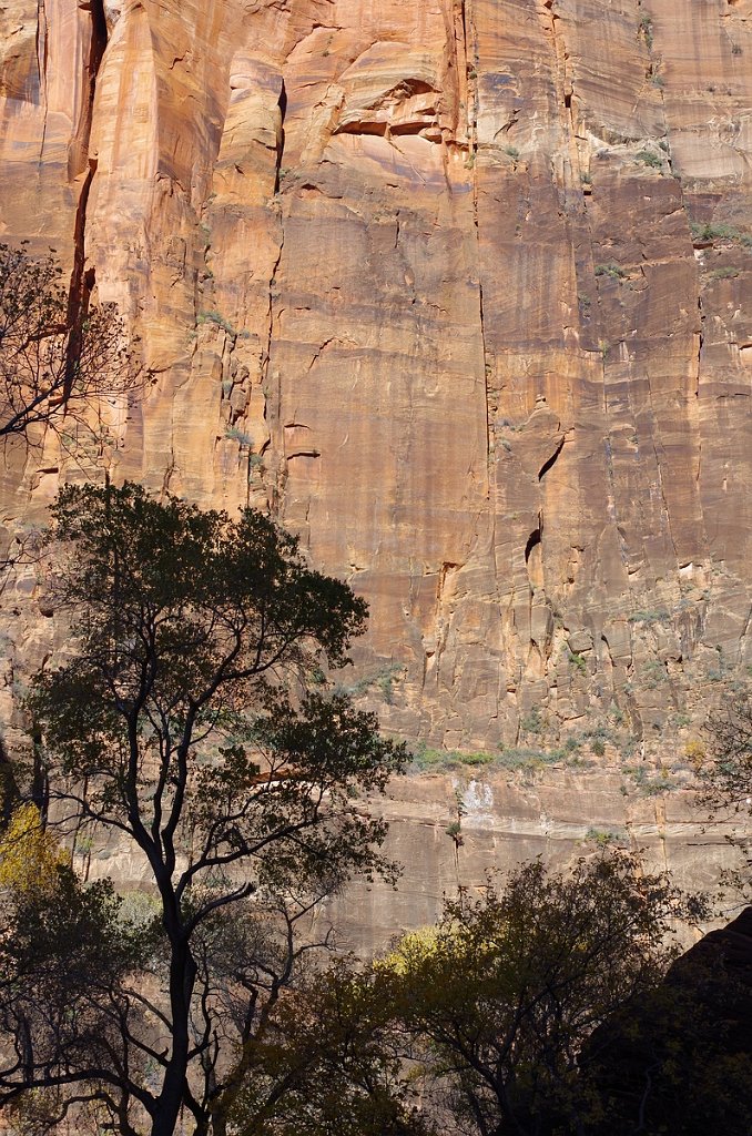 2018_1116_095254.JPG - Zion Riverside Walk