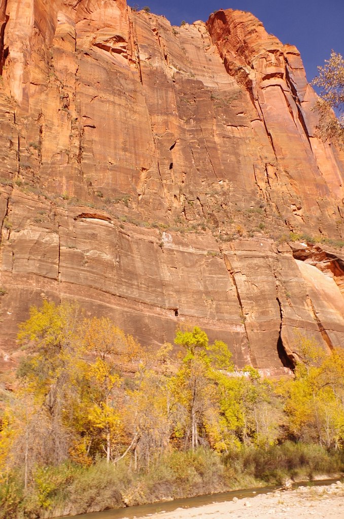 2018_1116_095613.JPG - Zion Riverside Walk