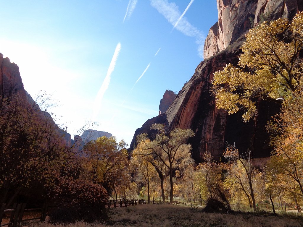 2018_1116_100508.JPG - Zion Riverside Walk