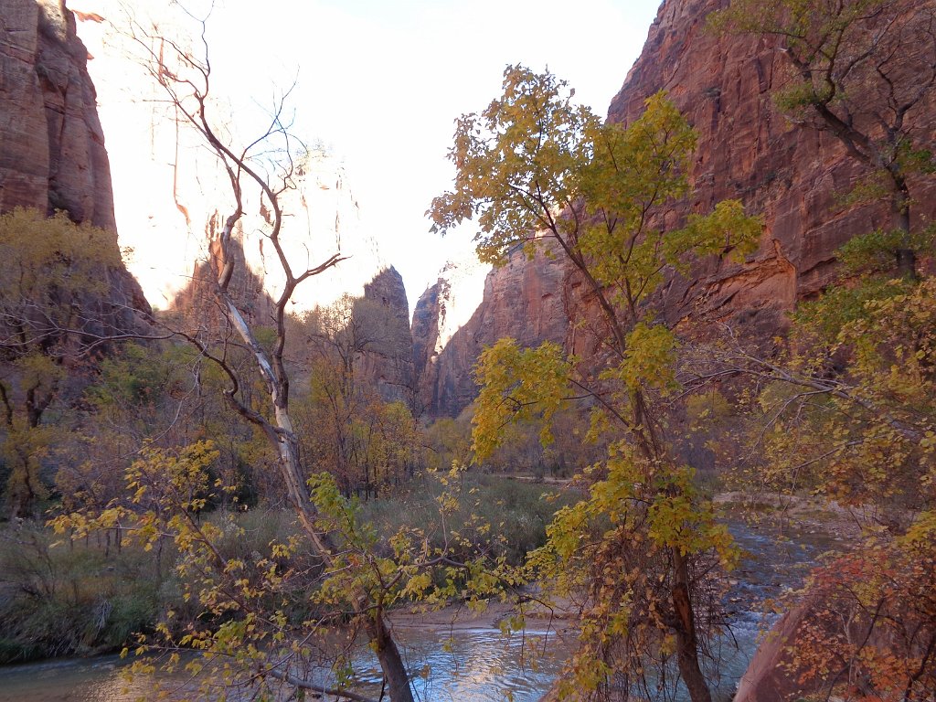 2018_1116_100709.JPG - Zion Riverside Walk