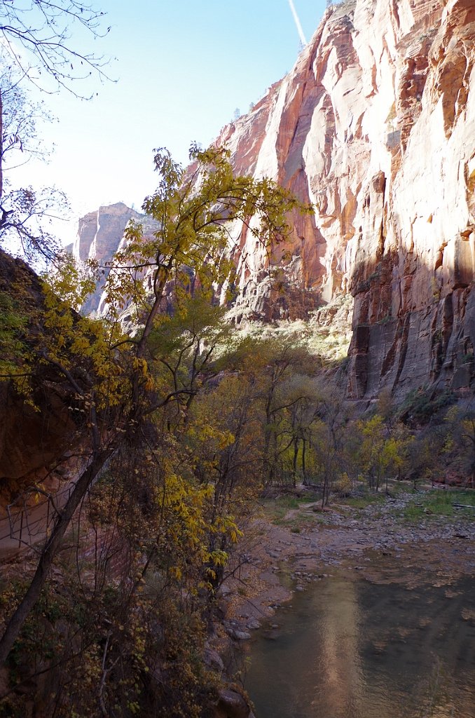 2018_1116_101101.JPG - Zion Riverside Walk