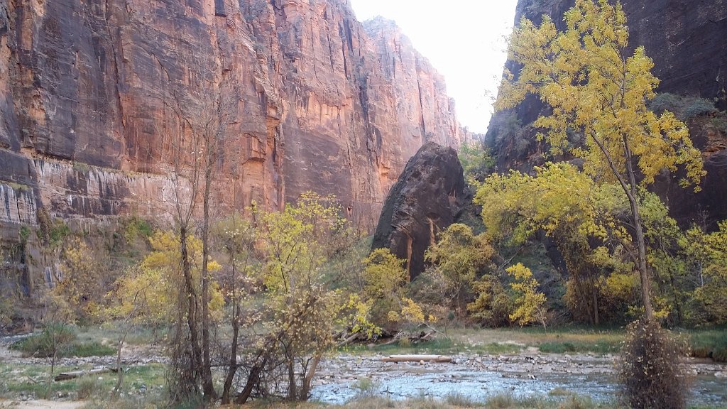 2018_1116_102123.JPG - Zion Riverside Walk