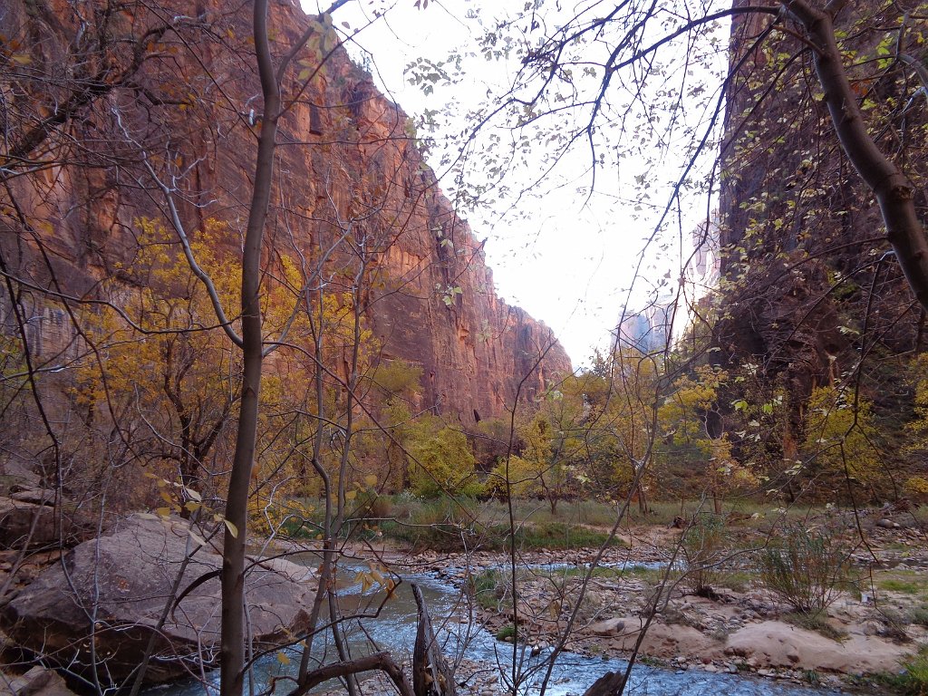 2018_1116_102323.JPG - Zion Riverside Walk