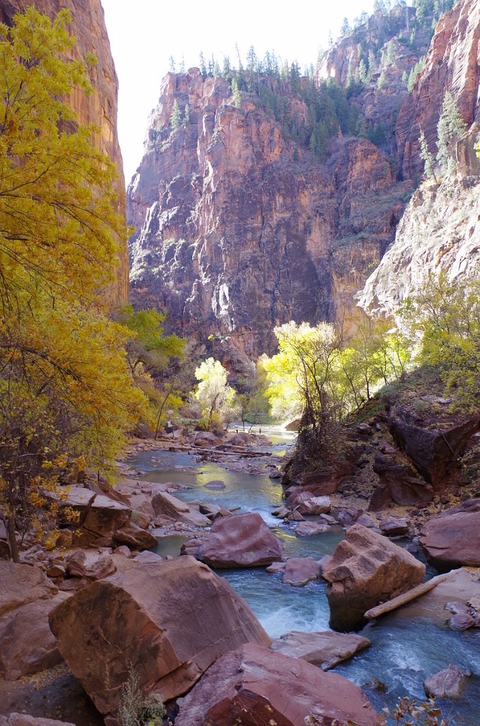 2018_1116_102457.JPG - Zion Riverside Walk