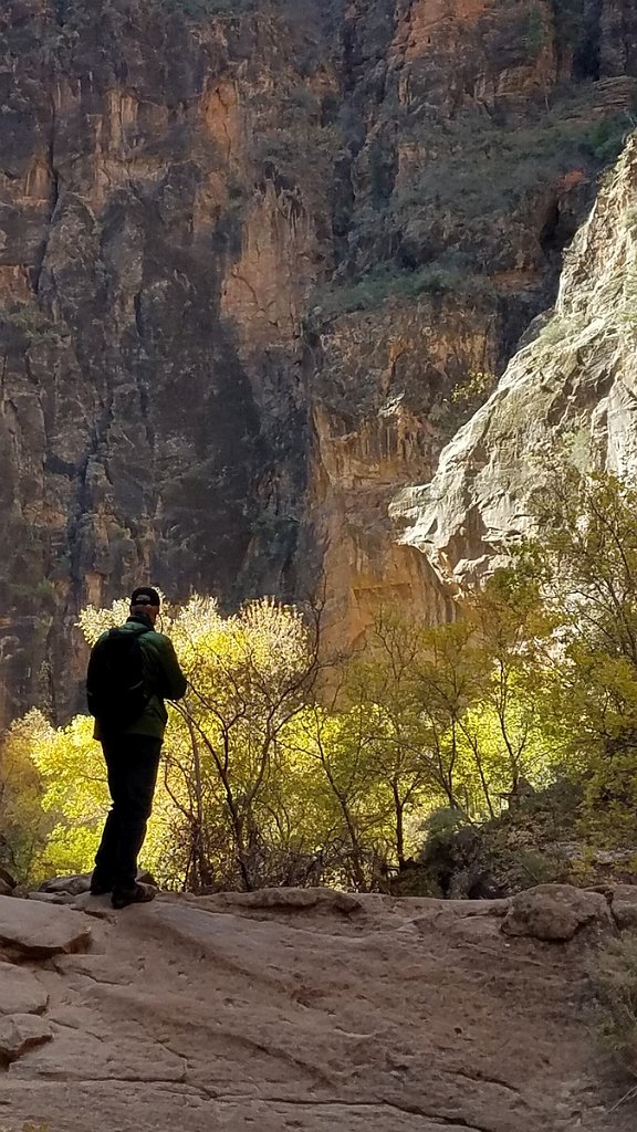 2018_1116_102643.jpg - Zion Riverside Walk