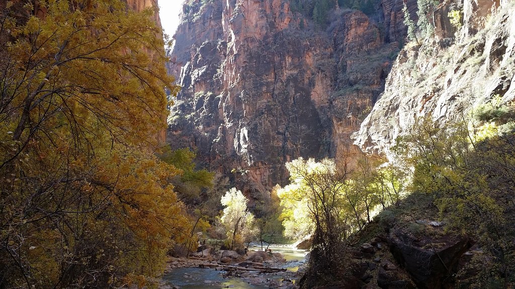 2018_1116_102652.jpg - Zion Riverside Walk