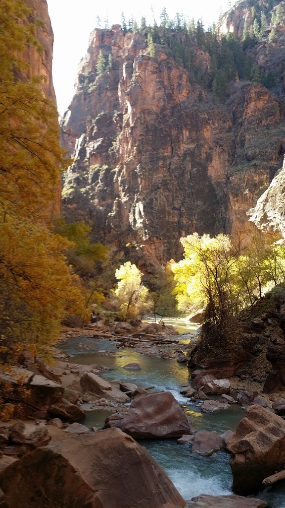 2018_1116_102658.jpg - Zion Riverside Walk