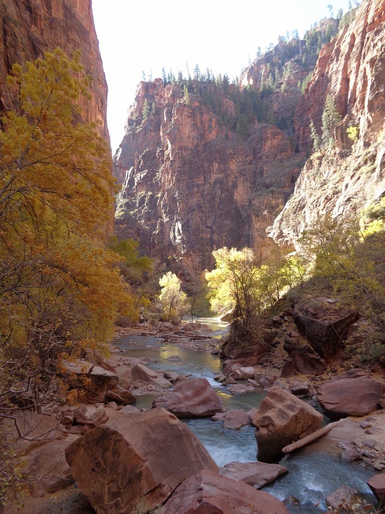 2018_1116_103055.JPG - Zion Riverside Walk