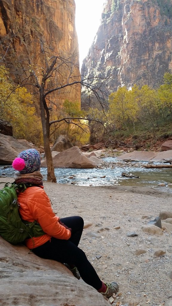 2018_1116_103156.jpg - Zion Riverside Walk