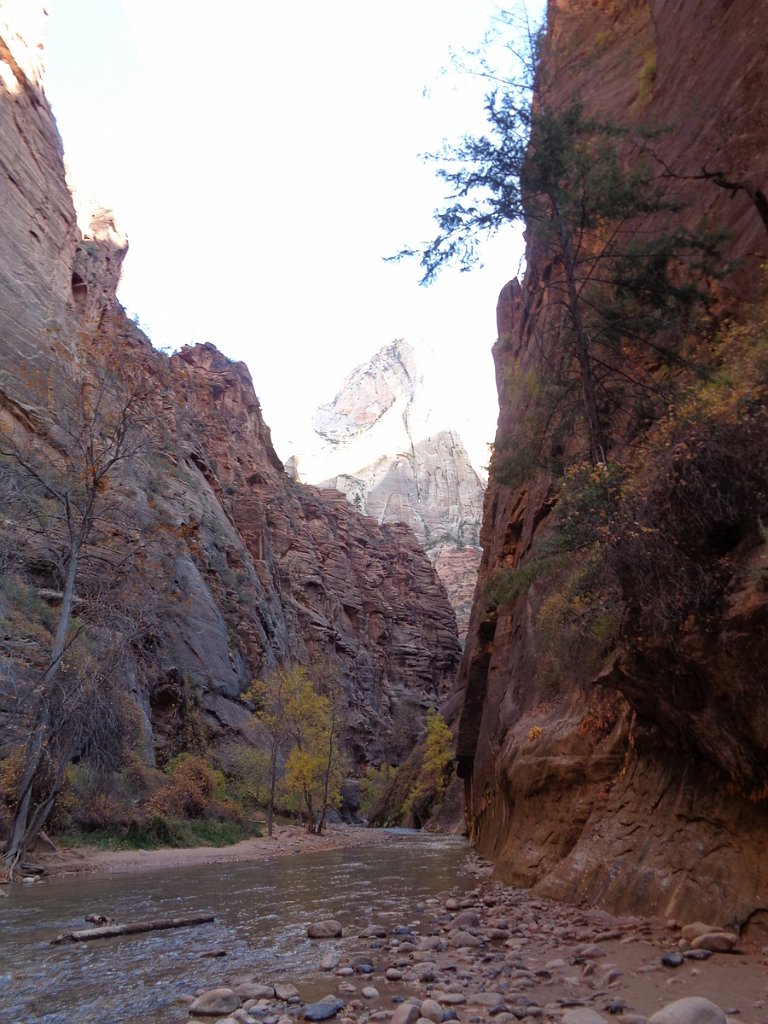 2018_1116_103407.JPG - Zion Riverside Walk