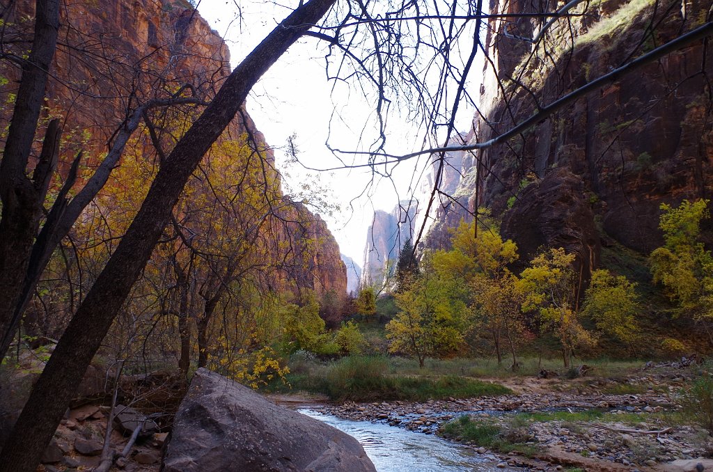 2018_1116_103645.JPG - Zion Riverside Walk