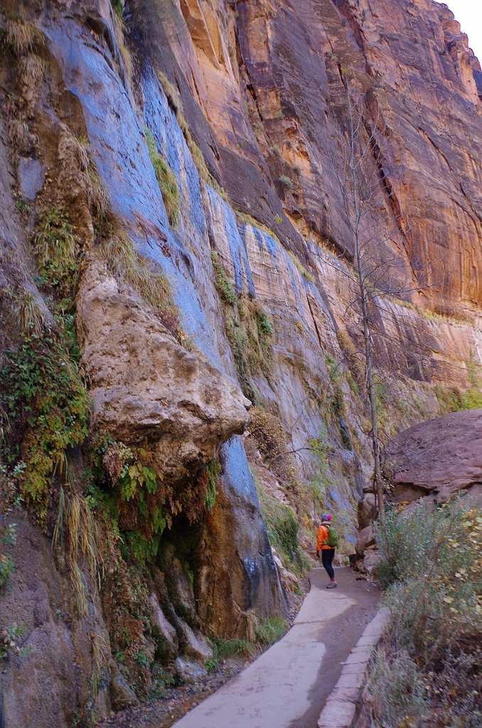 2018_1116_103825.JPG - Zion Riverside Walk