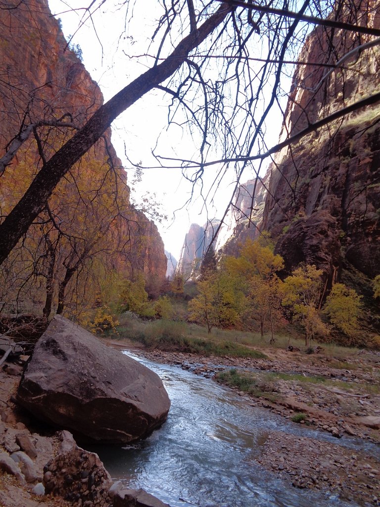 2018_1116_104340.JPG - Zion Riverside Walk