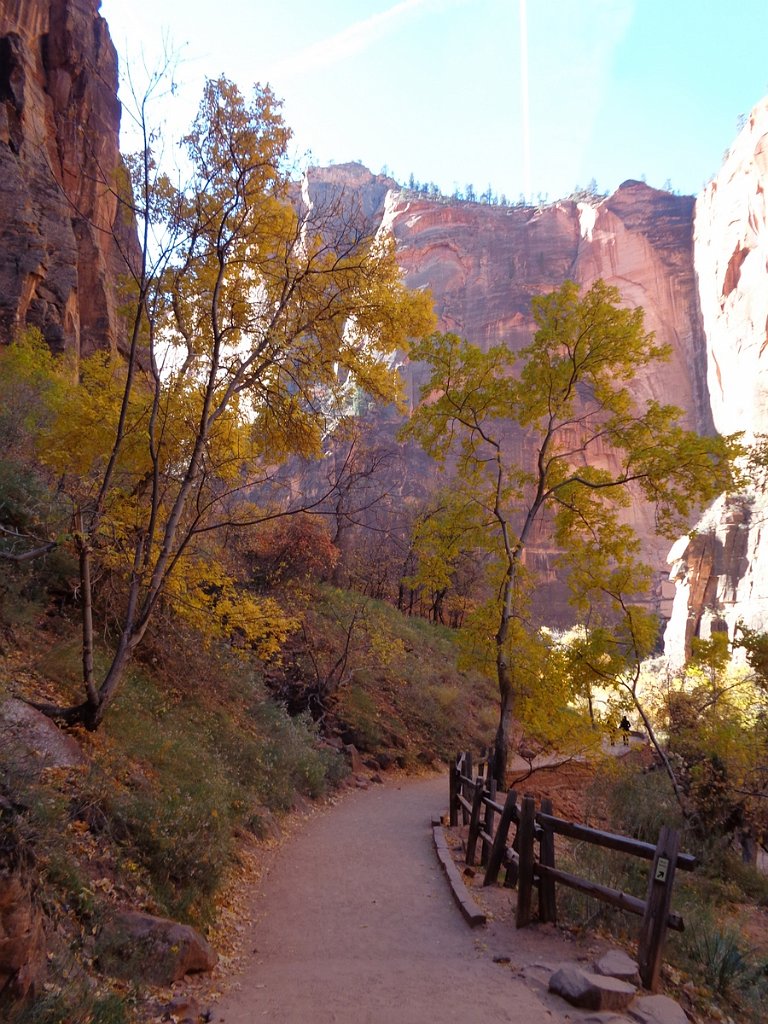 2018_1116_105522.JPG - Zion Riverside Walk