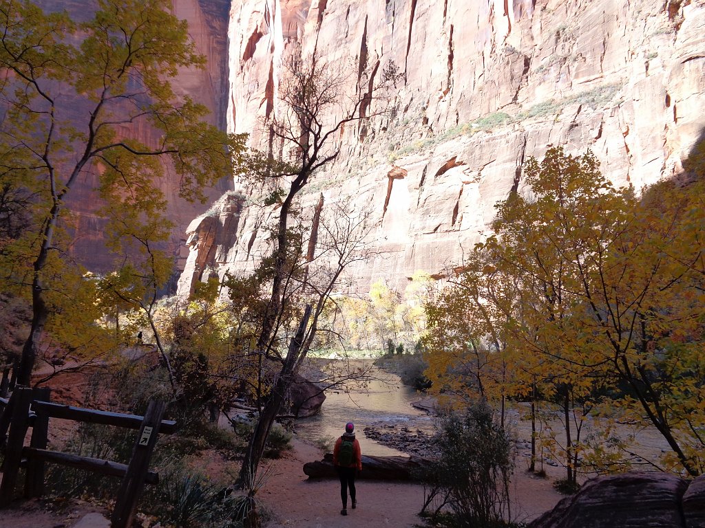 2018_1116_105531.JPG - Zion Riverside Walk