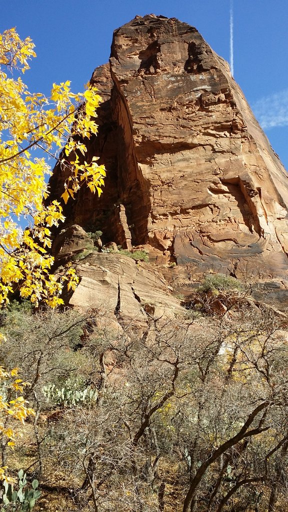 2018_1116_110202.jpg - Zion Big Bend