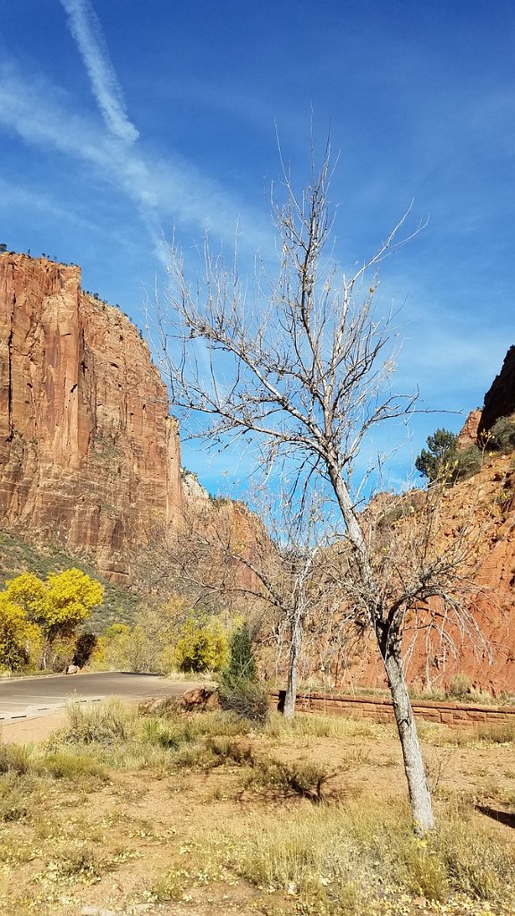 2018_1116_111405.jpg - Zion Big Bend