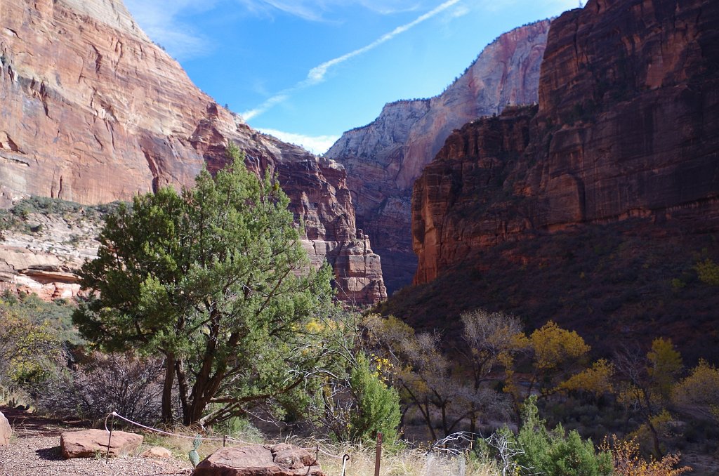 2018_1116_111449.JPG - Zion Big Bend