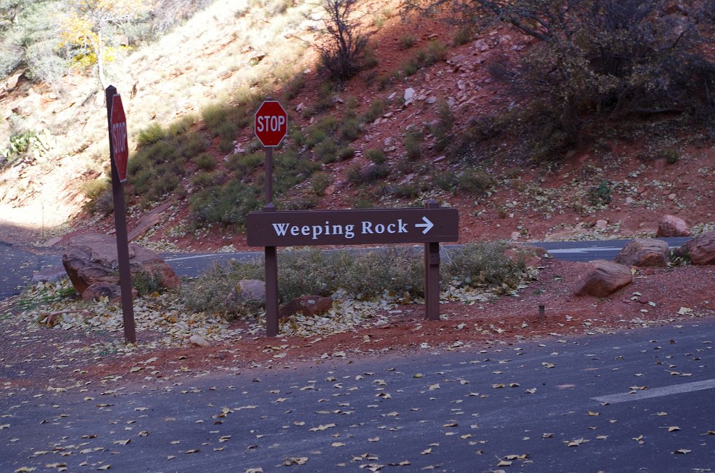 2018_1116_112329.JPG - Zion Weeping Rock Trail