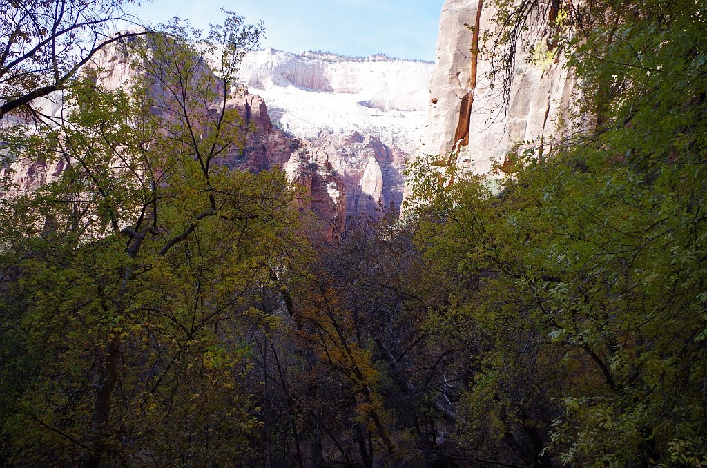 2018_1116_112850.JPG - Zion Weeping Rock Trail