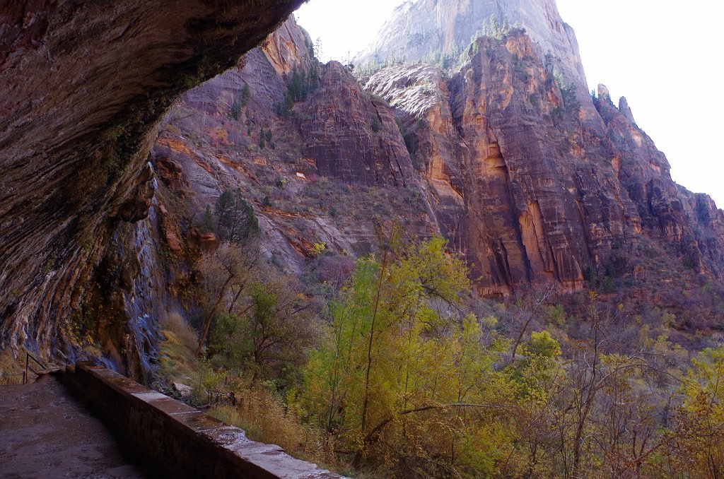 2018_1116_113312.JPG - Zion Weeping Rock Trail