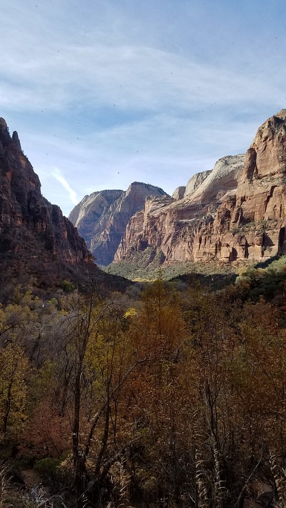 2018_1116_113720.jpg - Zion Weeping Rock Trail