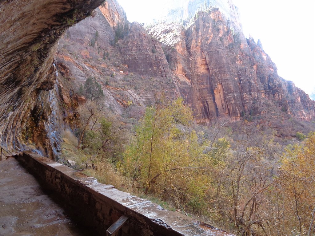 2018_1116_114055.JPG - Zion Weeping Rock Trail