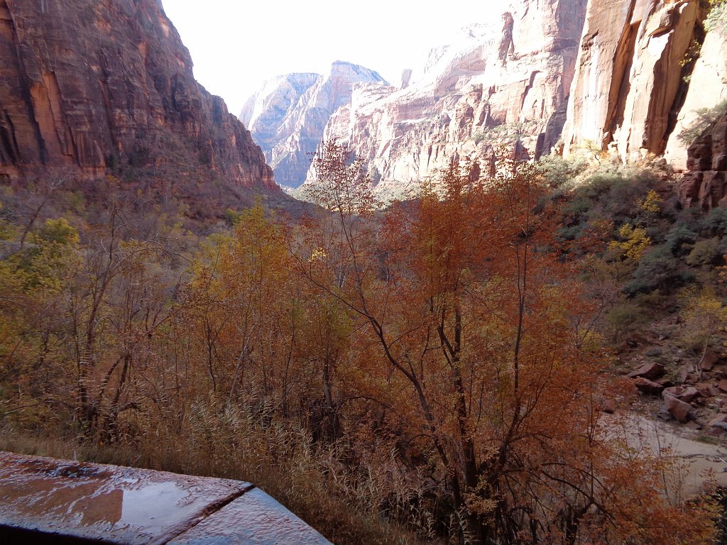 2018_1116_114110.JPG - Zion Weeping Rock Trail