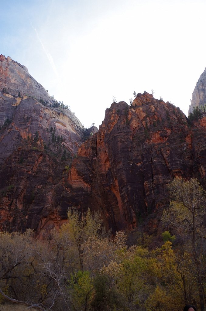 2018_1116_114349.JPG - Zion Weeping Rock Trail